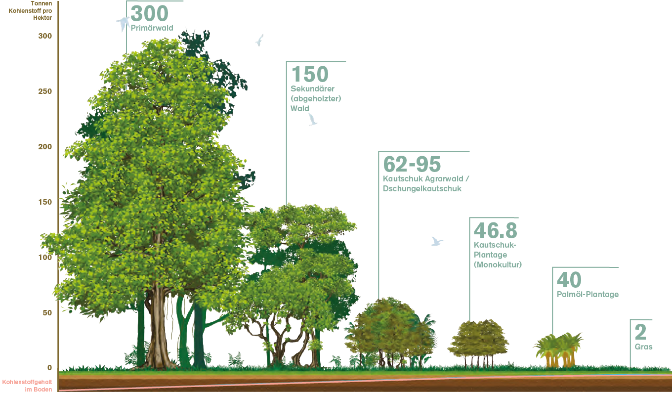 co2_binding_forests_DE-1x