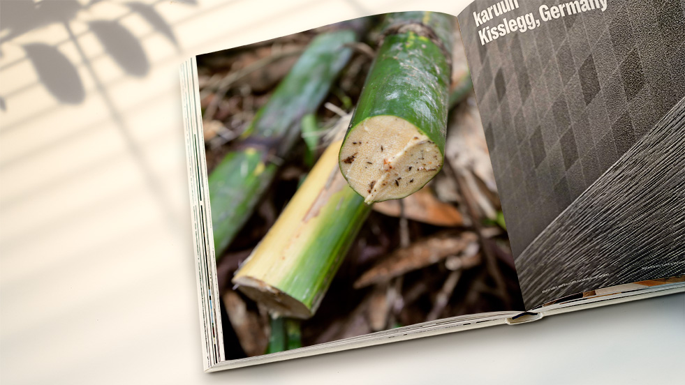 Sustainable_Architecture_Design_Buch_02_1